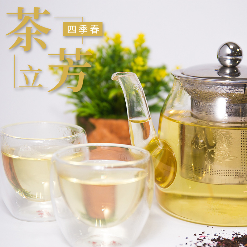 烏龍茶四季春茶立方紅茶袋茶葉果茶茉莉花飲料奶茶店原材料專用