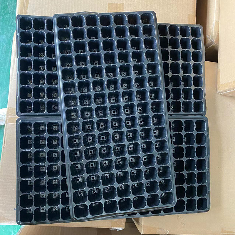 105 pyro-creas, gia đình horticate gwago-veating, kỹ sư nhà trẻ bằng nhựa.