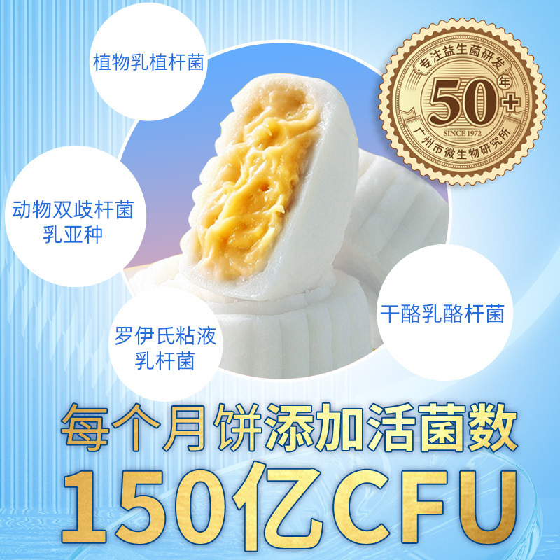 Chiếc hộp của Vua Mèo và Ngọn Núi.