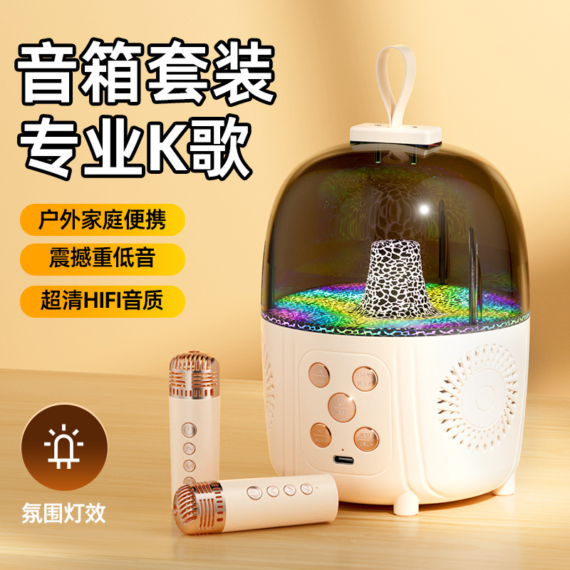 A new handheld bluetooth soundbox, a two-phone sound microphone, which is used outside the house by KTV K.