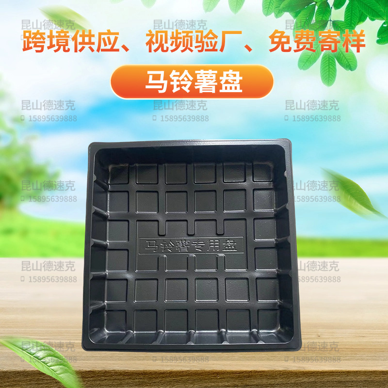 Những khay hạt giống được trồng trong khu vực rộng lớn với những hình vuông bằng nhựa PT đen