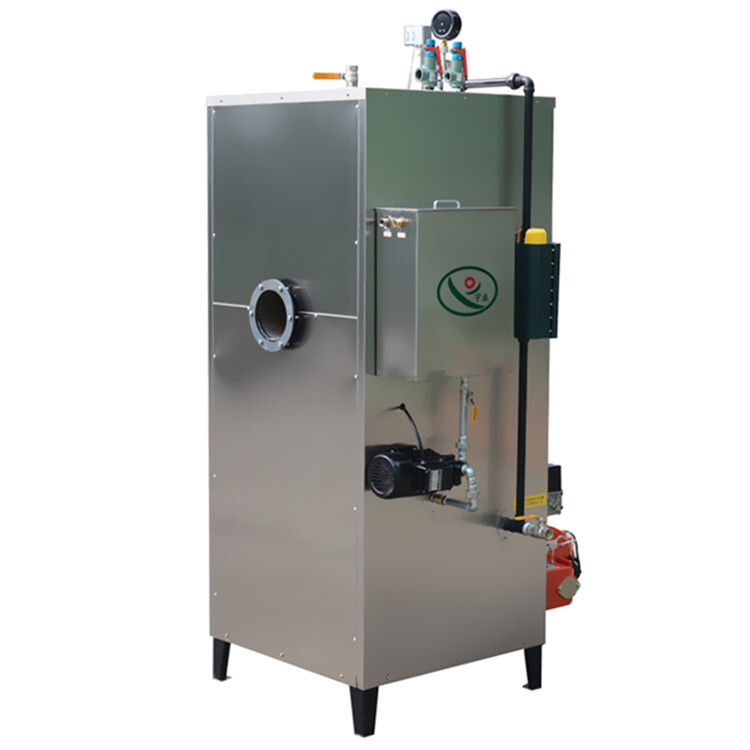 Industrial fully automated steam-heating cabinet steam generator fuel boiler package mail