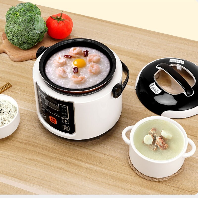 Car-mounted electric rice minivan 12v minivan 110v English family car with mini electric cooker