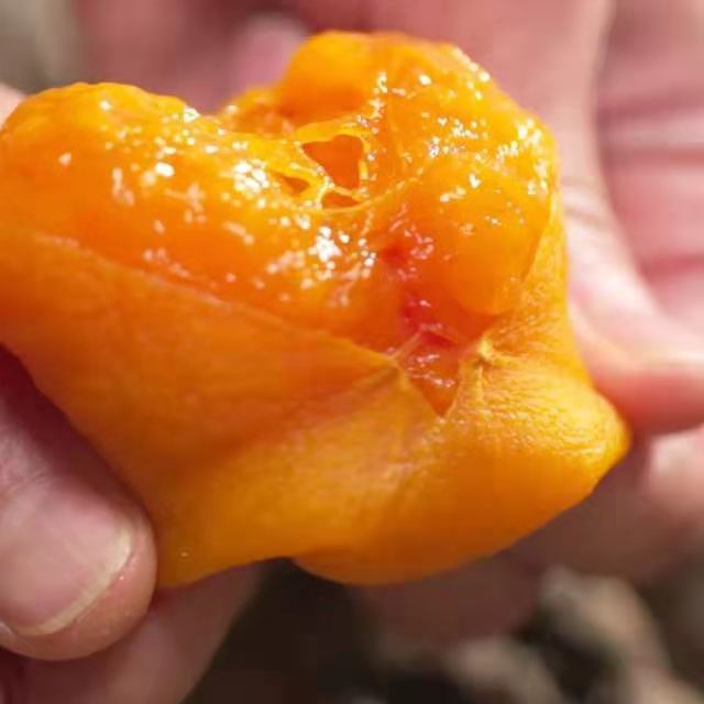 Pancakes of pericardial tomatoes.