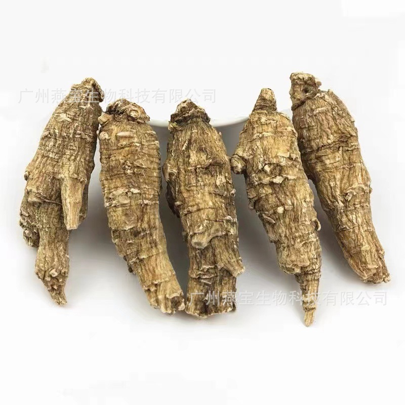 Việc nhập khẩu chính thức của các cuộc Thập tự chinh ở Mỹ, 250 cuộc viễn chinh miền Tây Wigand Whole, là một sự thay thế.