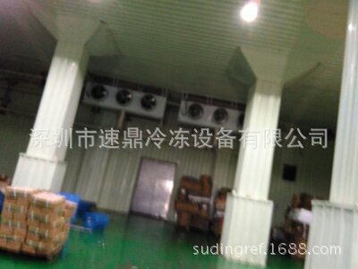 Guangdong Cold Bank, Shenzhen Food Refrigeration Bank, low-temperature freezer.