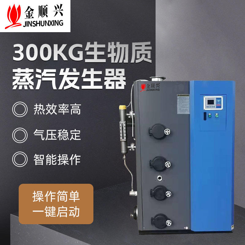 300kg biomass steam generator boiler.