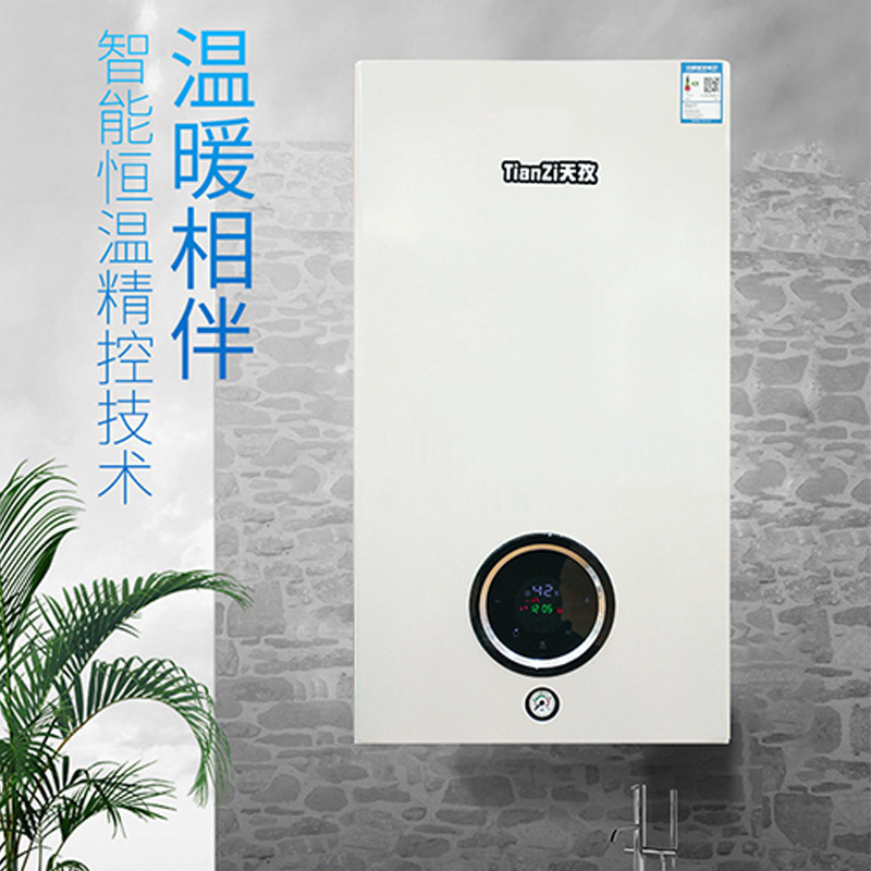 Natural gas wall-mounted boiler boiler home heating with commercial dual-use bath-fired gas heater