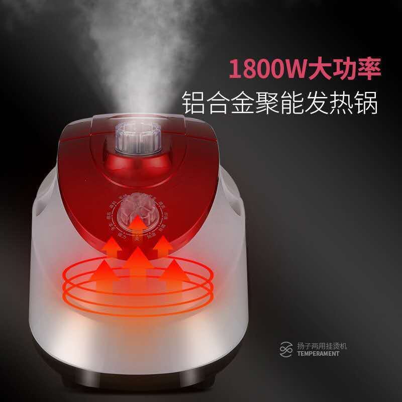 Treo hơi nước đôi, ủi tay, ủi áo, ủi đồ.