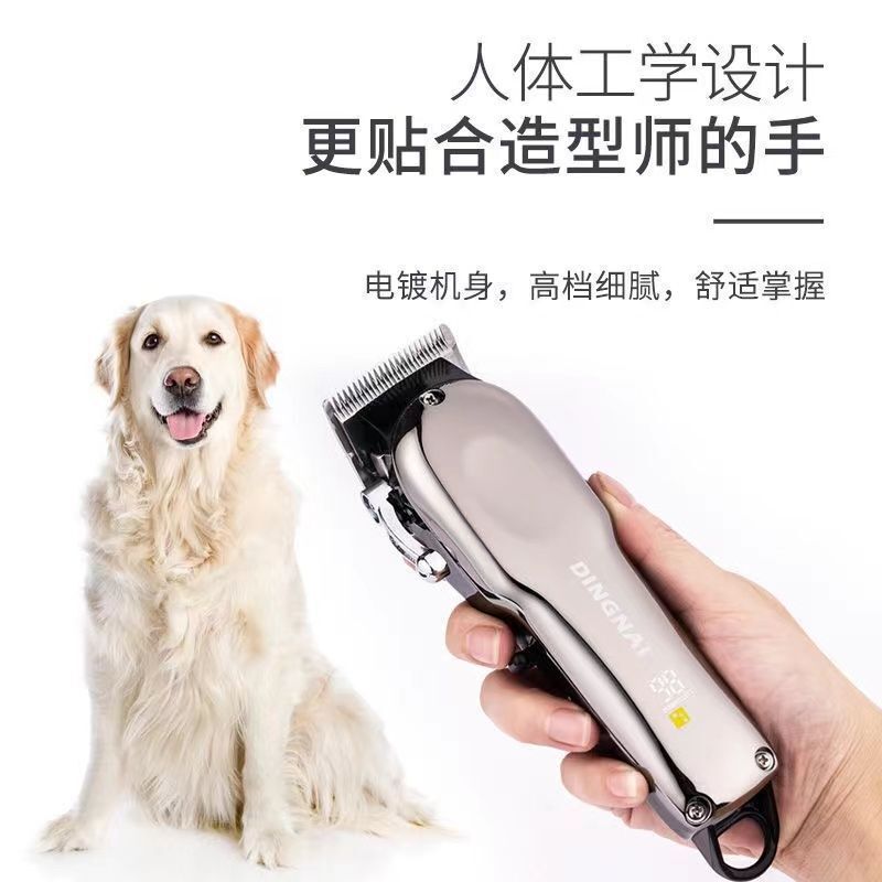 Máy cắt điện, máy đẩy chó, máy cắt lớn, cửa hàng thú cưng.