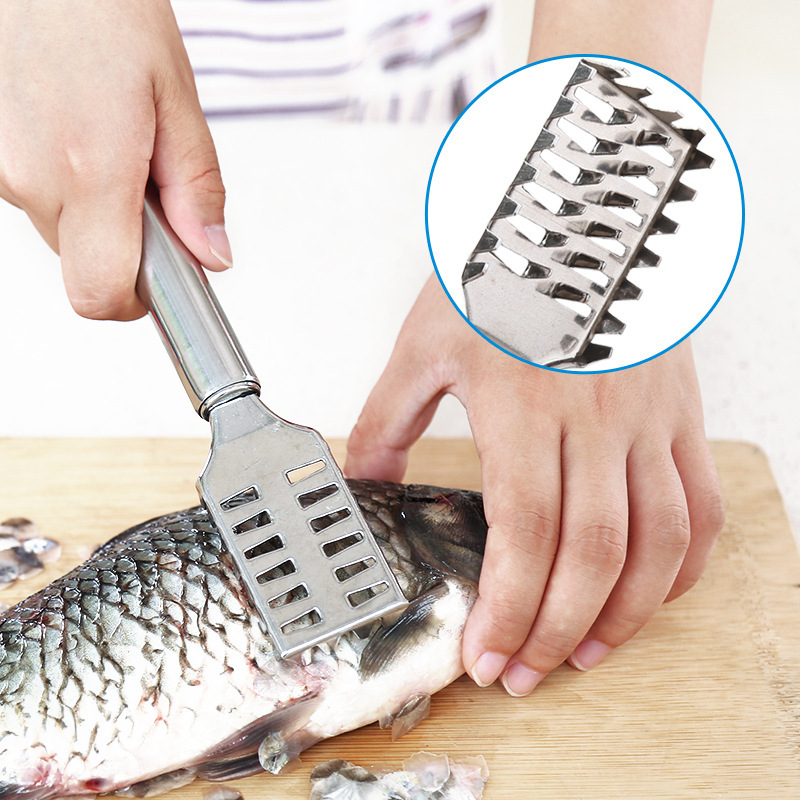 thép không rỉ để cạo cá, dụng cụ nấu ăn, cá để cạo lông cho cá ăn, cá cho những người ăn xác thối.