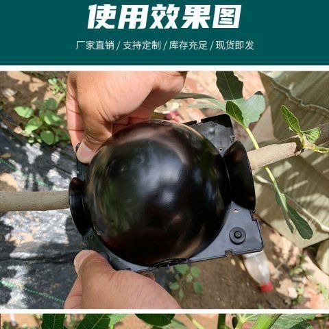 Một chiếc hộp sinh sản áp suất cao của cây với một người làm vườn bằng nhựa với một cây áp suất cao và một quả bóng rơm.