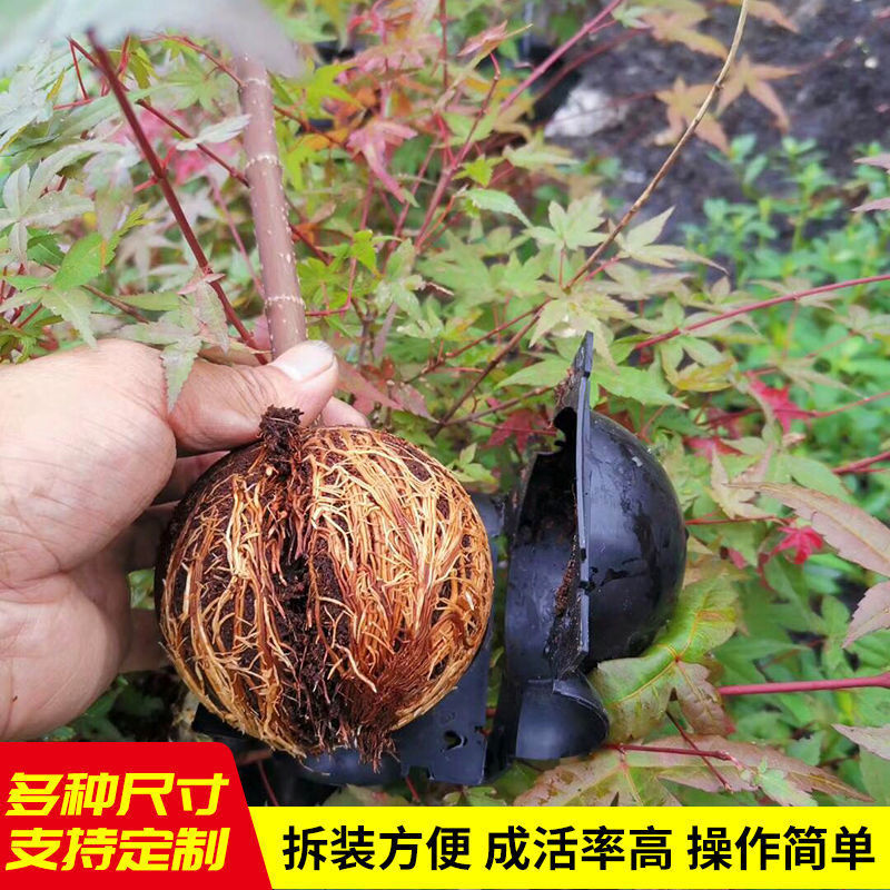 Hộp áp suất cao cây sinh sản áp lực cao để hộp gốc áp lực cao kiểm soát bồn tắm dây rộng