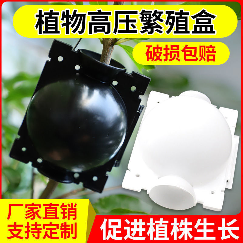 Một chiếc hộp sinh sản áp suất cao của cây với một người làm vườn bằng nhựa với một cây áp suất cao và một quả bóng rơm.