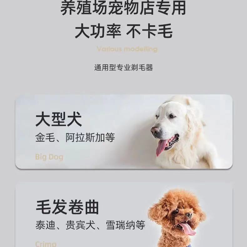 Máy cắt điện, máy đẩy chó, máy cắt lớn, cửa hàng thú cưng.