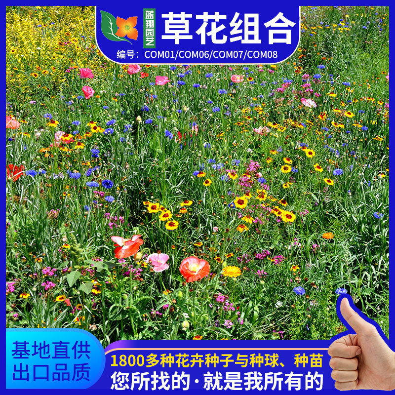 Sự sống trong môi trường thực vật chống muối và hạt giống cho hạt giống lạnh và hạn hán
