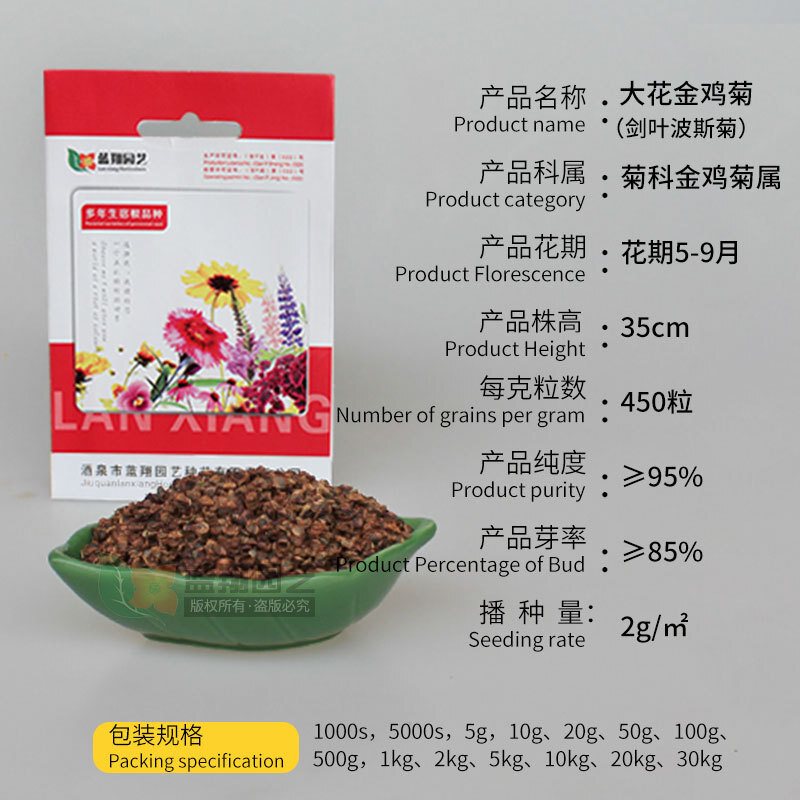 ♪ Một bông hoa với một hạt cúc vàng