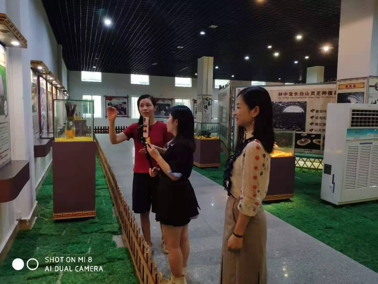 Công ty TNHH Công nghệ sinh học Rừng Quảng Đông