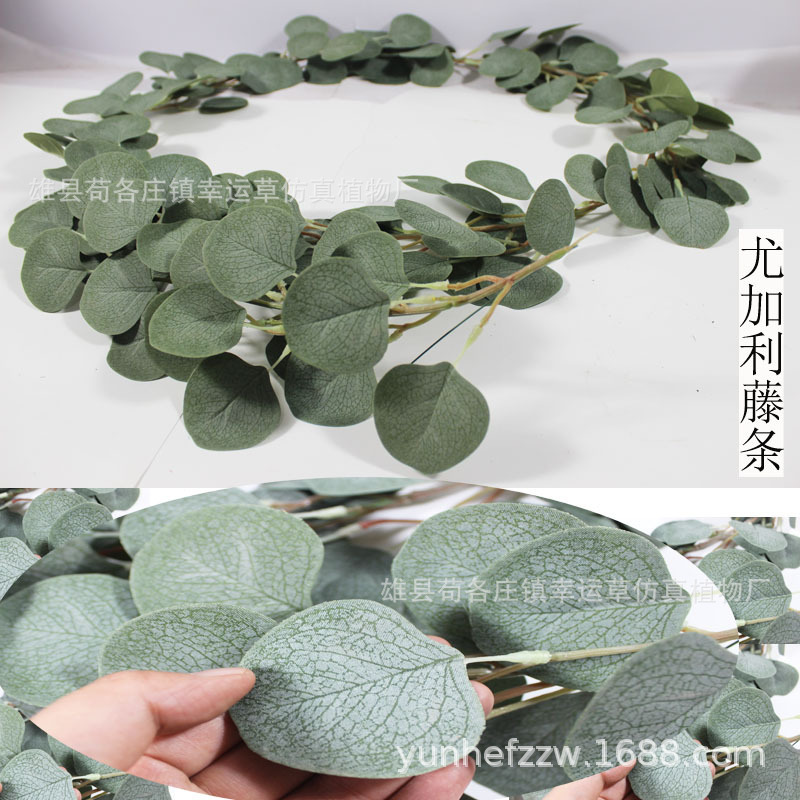 Tôi có rất nhiều tiền trong túi.