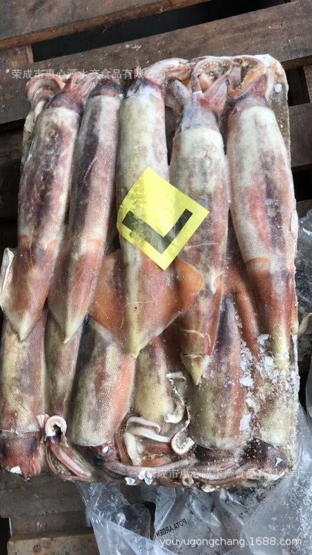 mực X-quang, mực ống đông lạnh nguyên liệu 300/600 g nguyên liệu nguyên chất