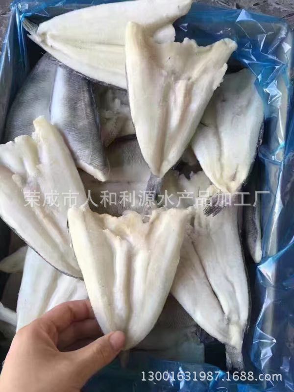 Cá băng Nam Cực, bướm cá tuyết hoang dã, cá băng tươi và những bi-đông dinh dưỡng tươi.