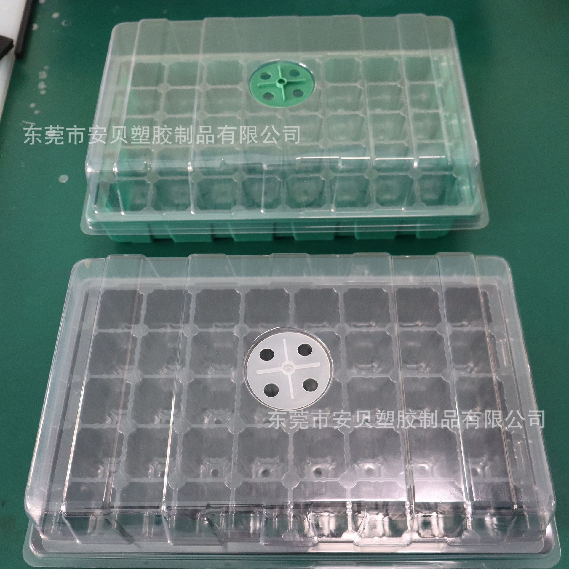 15 40 chiếc hộp trồng cỏ, 40 cái hộp trồng cỏ, sự lạnh lẽo sâu sắc