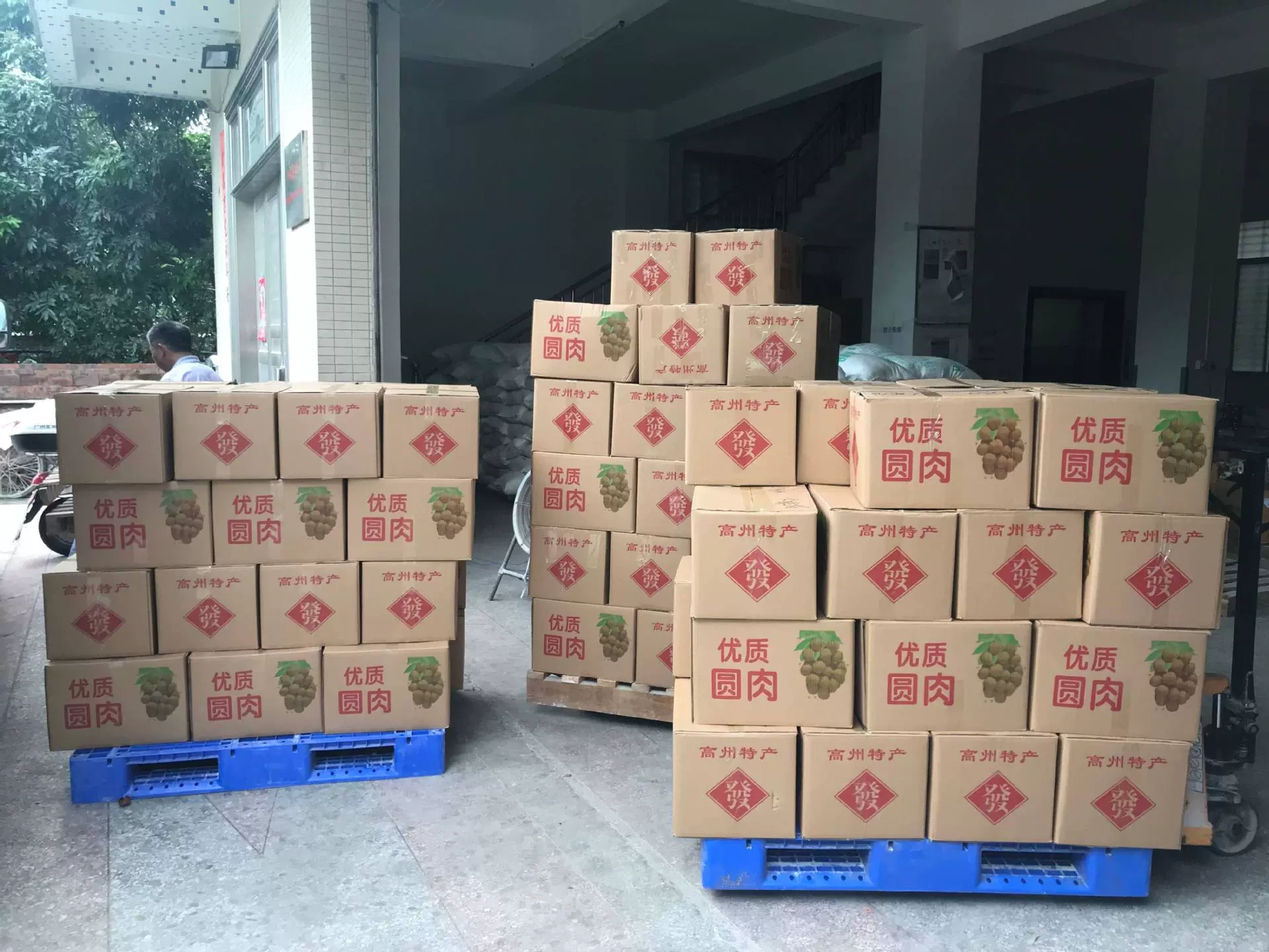 Deep Mountain Ecological Agriculture Co. Ltd., Gaozhou