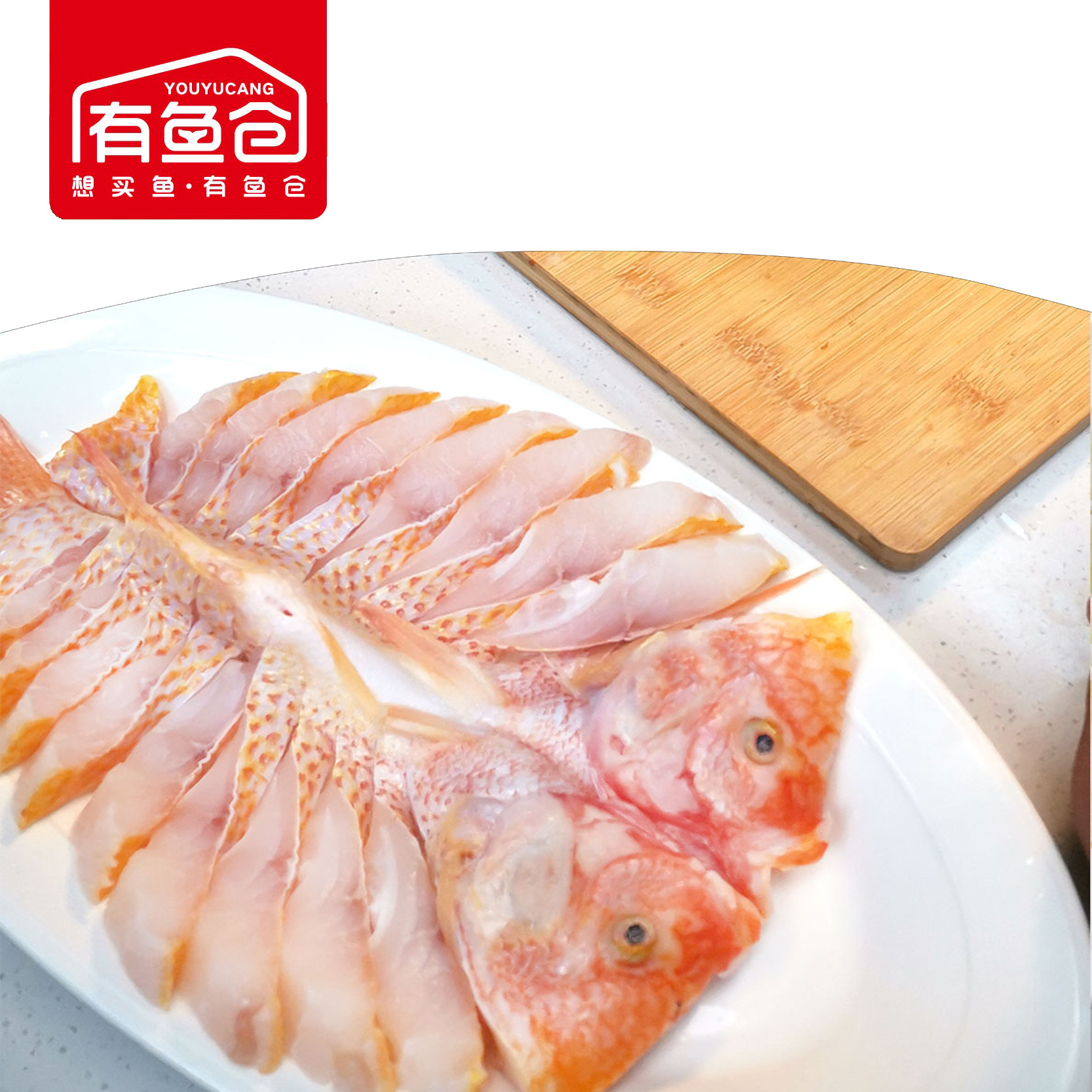 ♪ Quay trở lại cầu vồng, phượng hoàng, ngôi sao đỏ, ngọc trai, cá trích đỏ, vòng cầu vồng, màu đỏ
