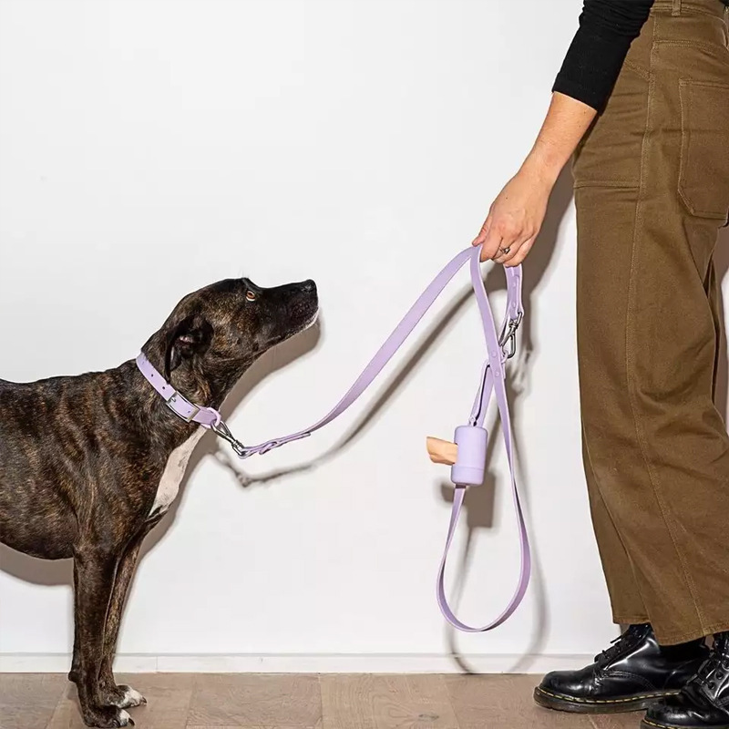 外貿狗狗防水項圈刻字pvc可調節貓狗中型犬寵物牽引繩套裝狗脖