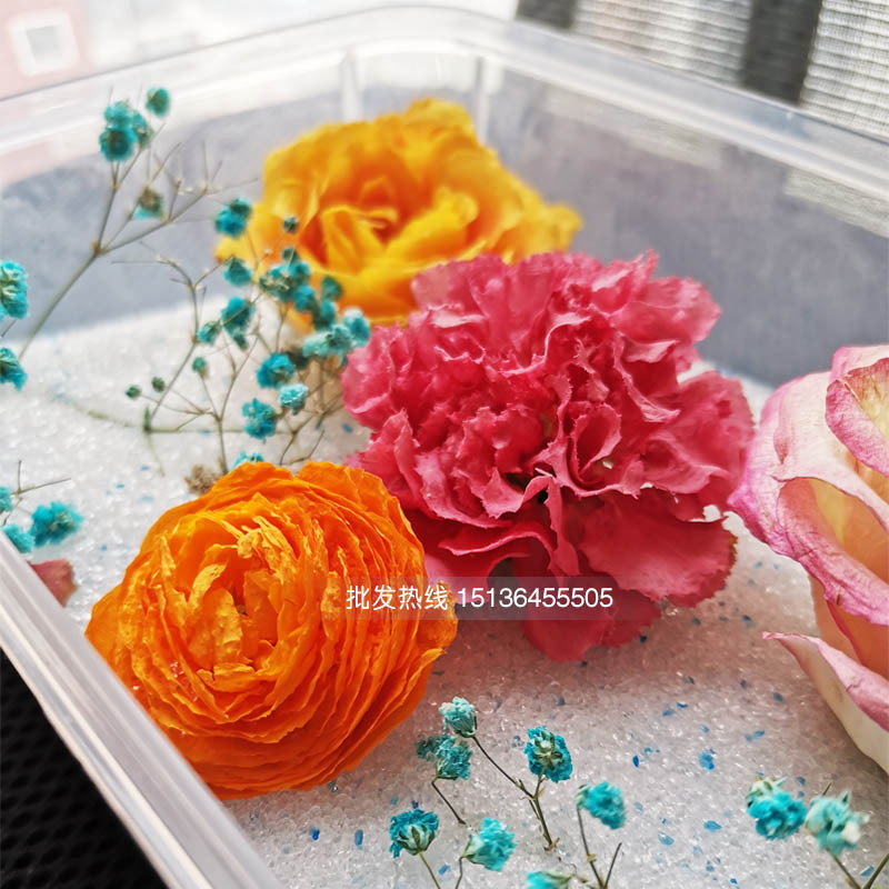 500 gram hoa làm khô các gói DIY cho các nhà máy tái chế vi sóng dài hạn