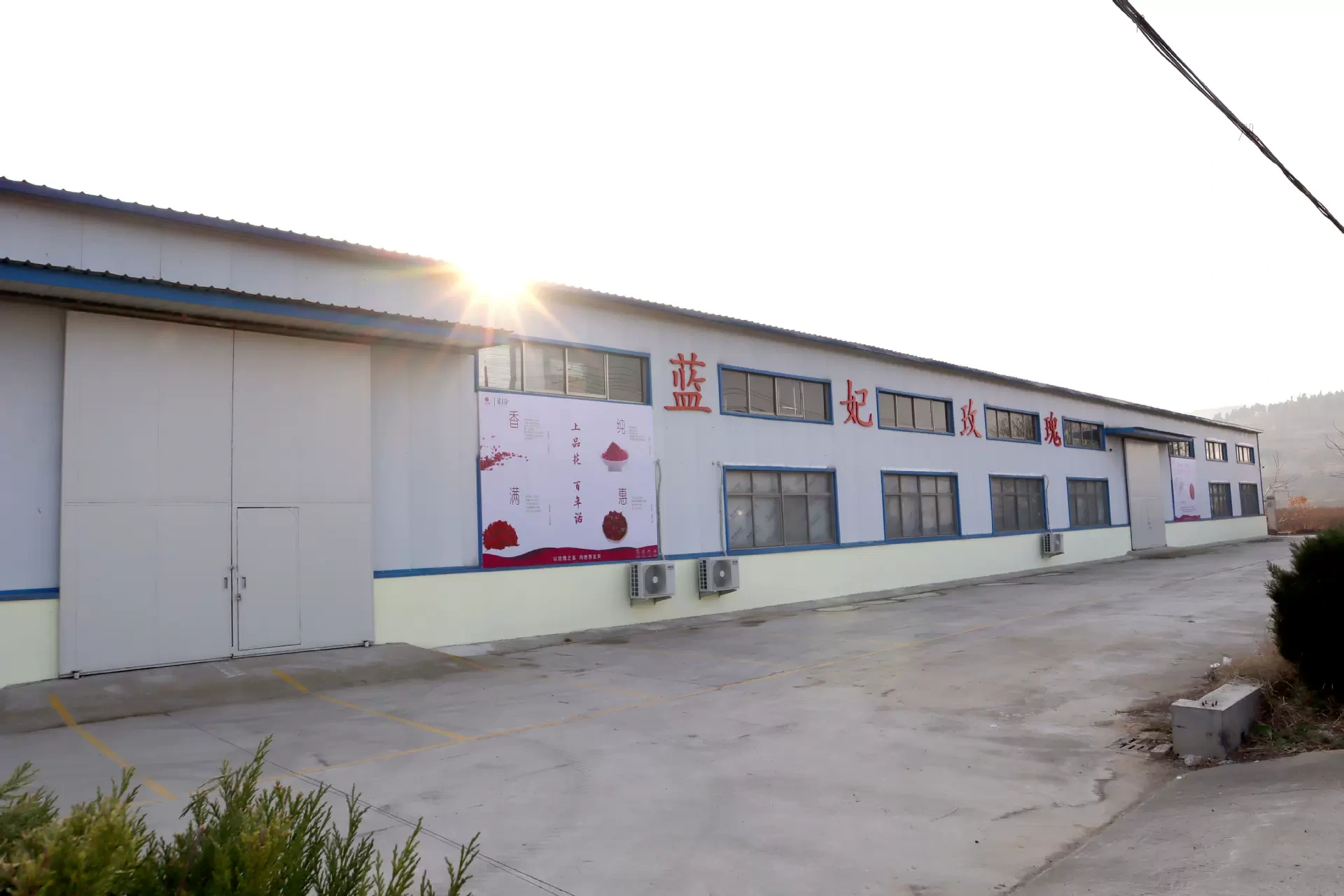 Công chúa xanh Trung Quốc bị giới hạn