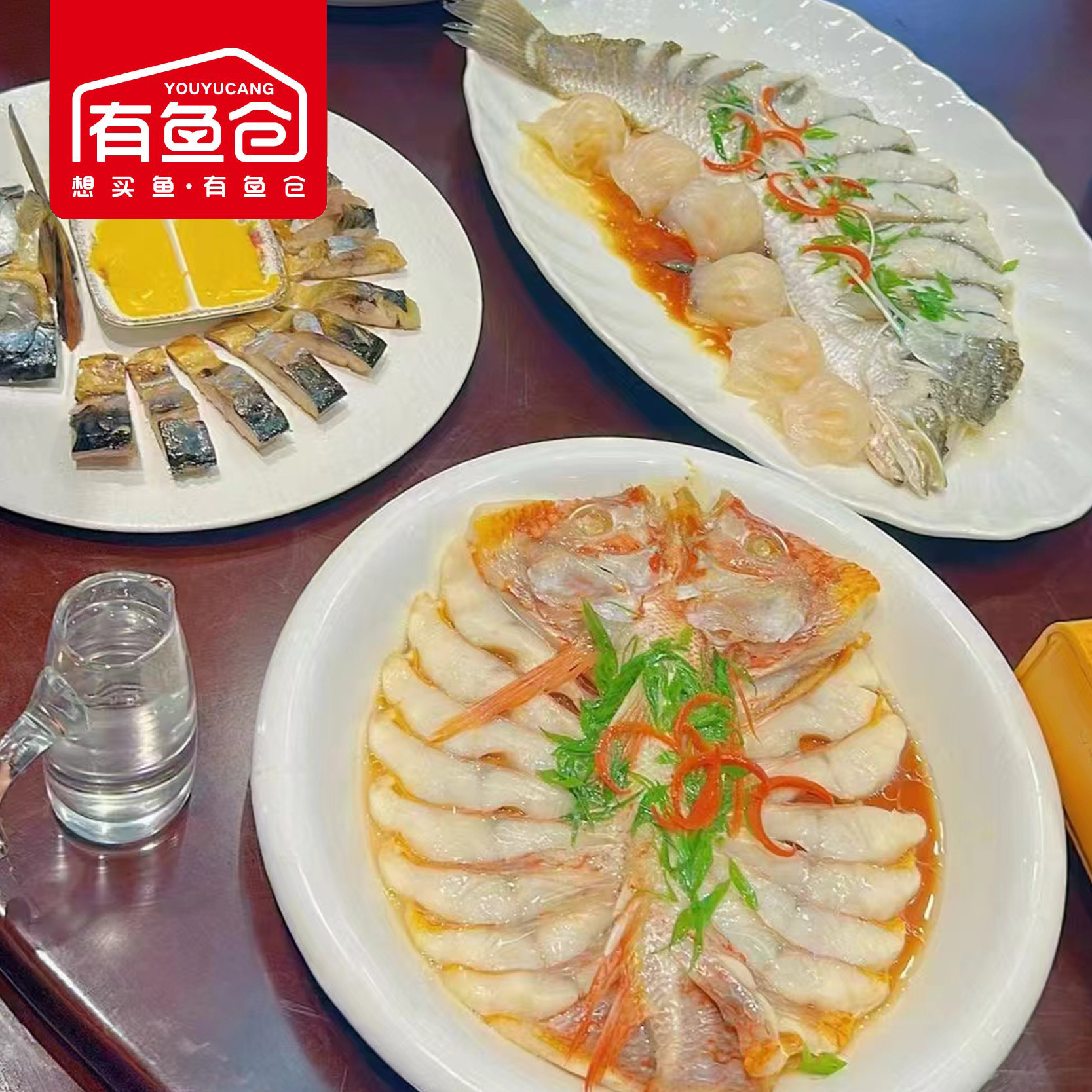 ♪ Quay trở lại cầu vồng, phượng hoàng, ngôi sao đỏ, ngọc trai, cá trích đỏ, vòng cầu vồng, màu đỏ