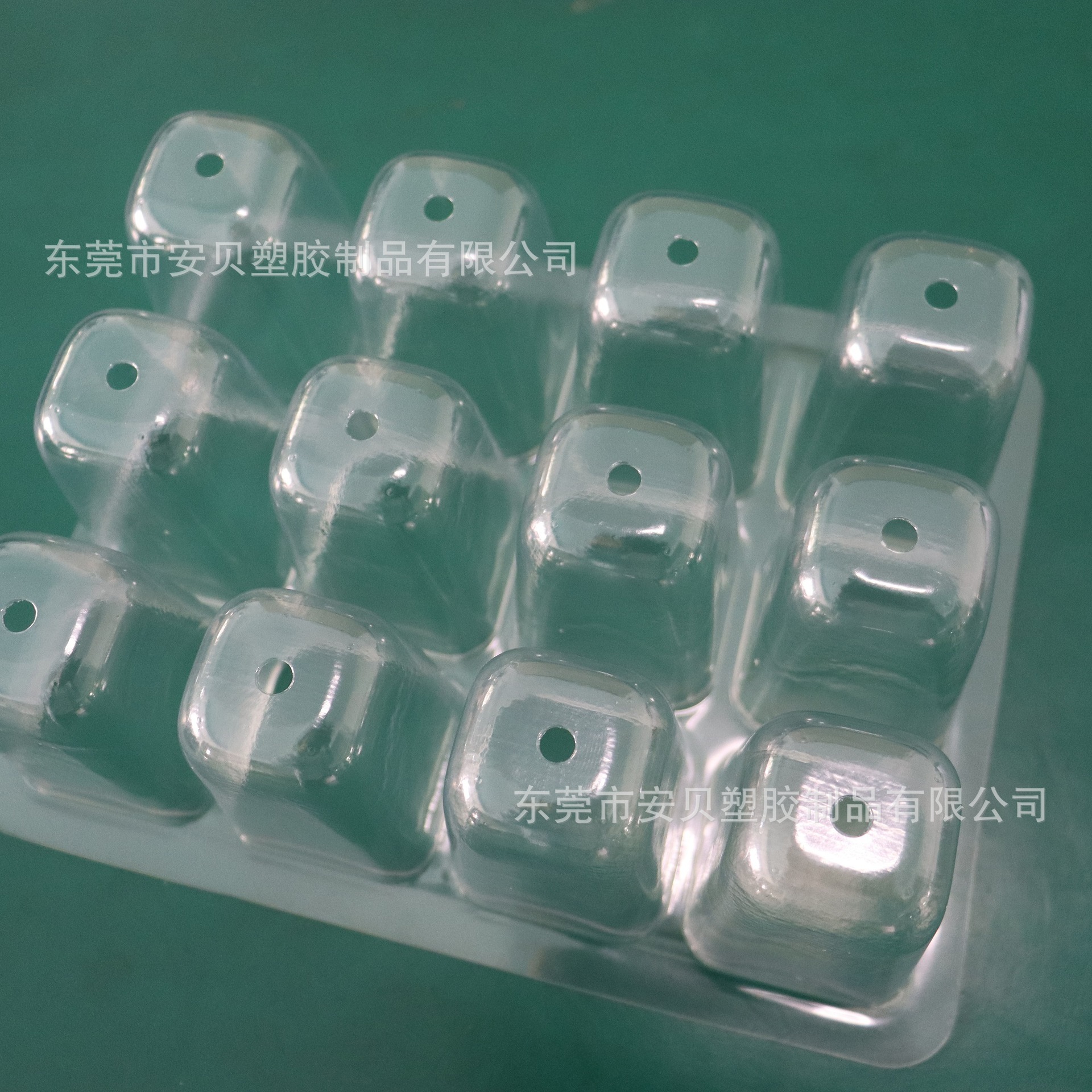 Những chiếc cốc trồng tia tán xạ trong suốt của những thùng có nhiều chất dinh dưỡng được tùy chỉnh