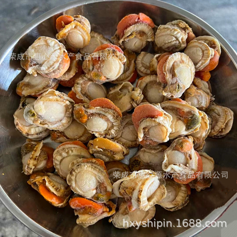 Máy hút bụi vỏ sò, tươi và sẵn sàng ăn.