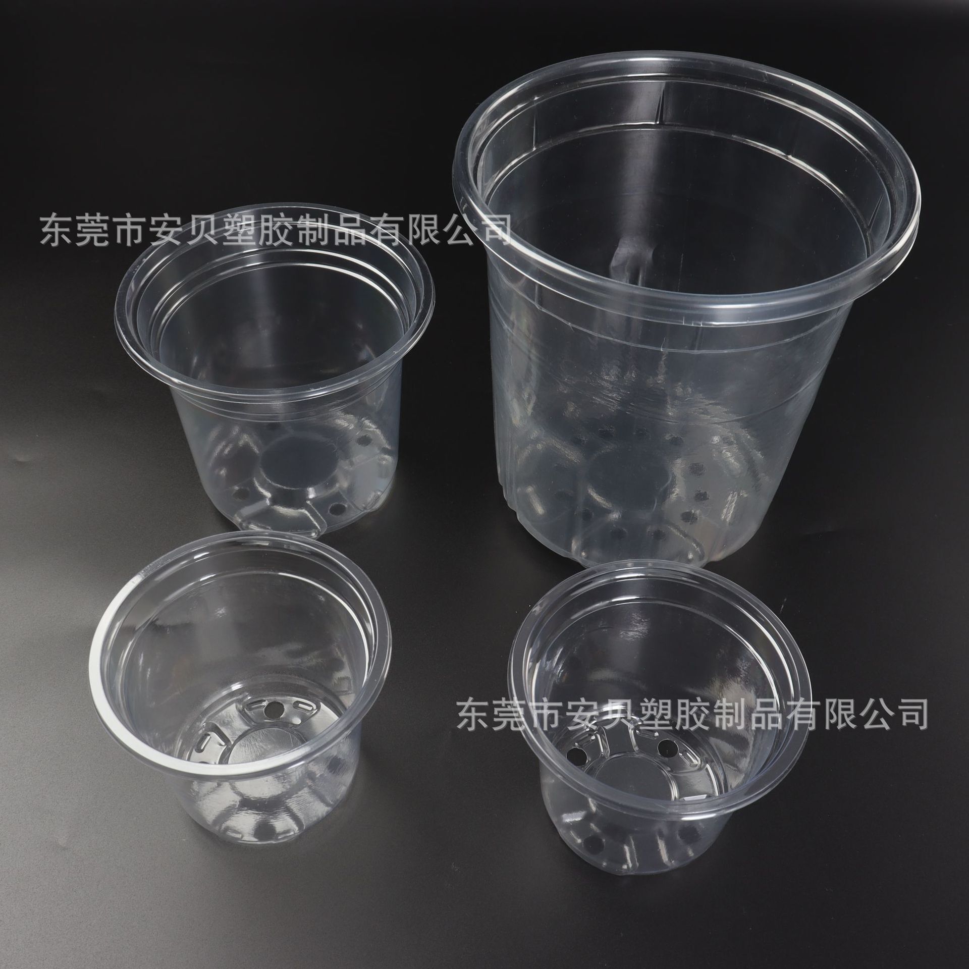 Sự nuôi dưỡng của một chậu hoa sinh-con lai cứng-con lai
