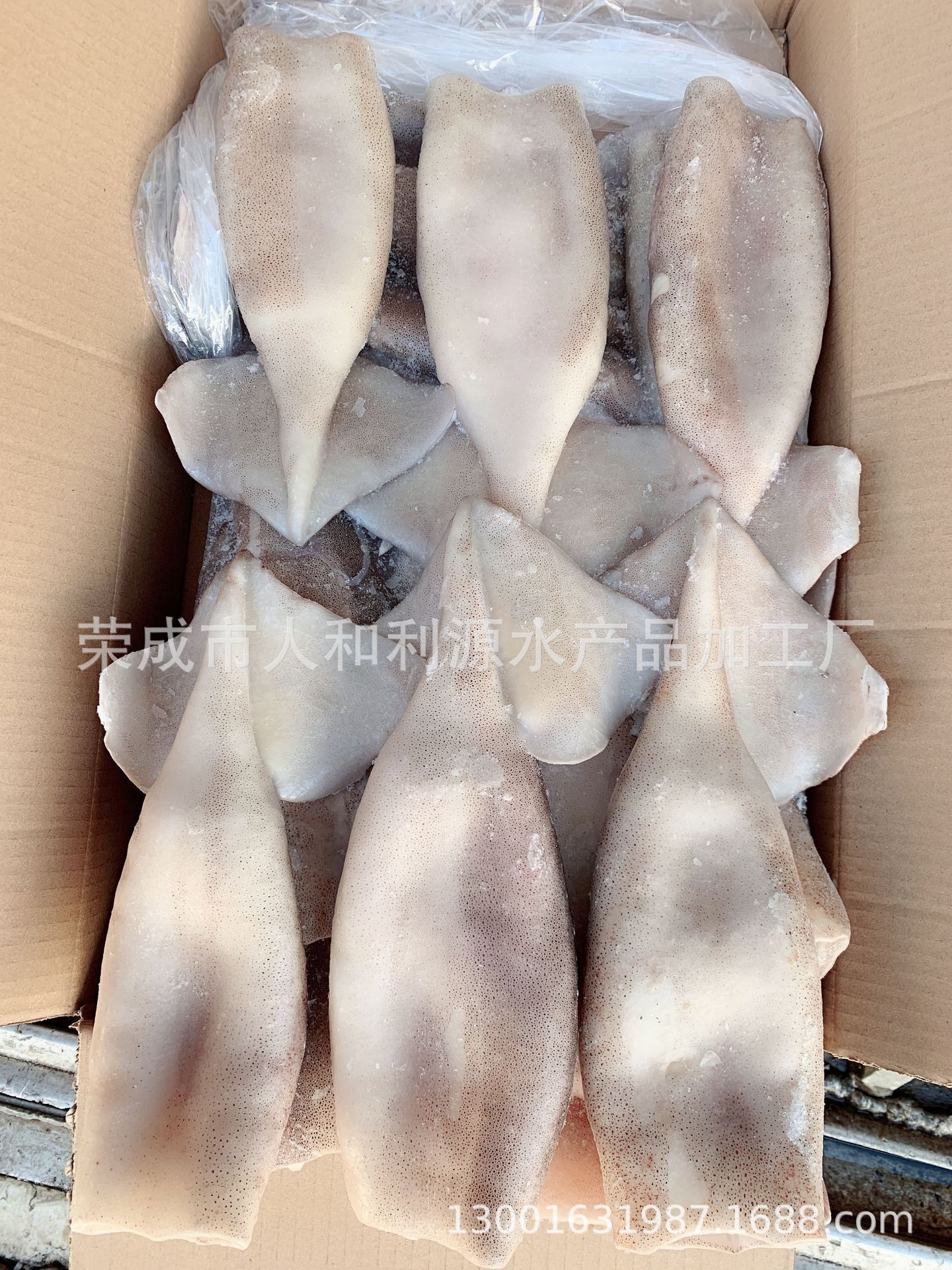 Hải sản đông lạnh, đông lạnh, trống mực ống và trống, trống mực chì, hàng hải sản đông lạnh.