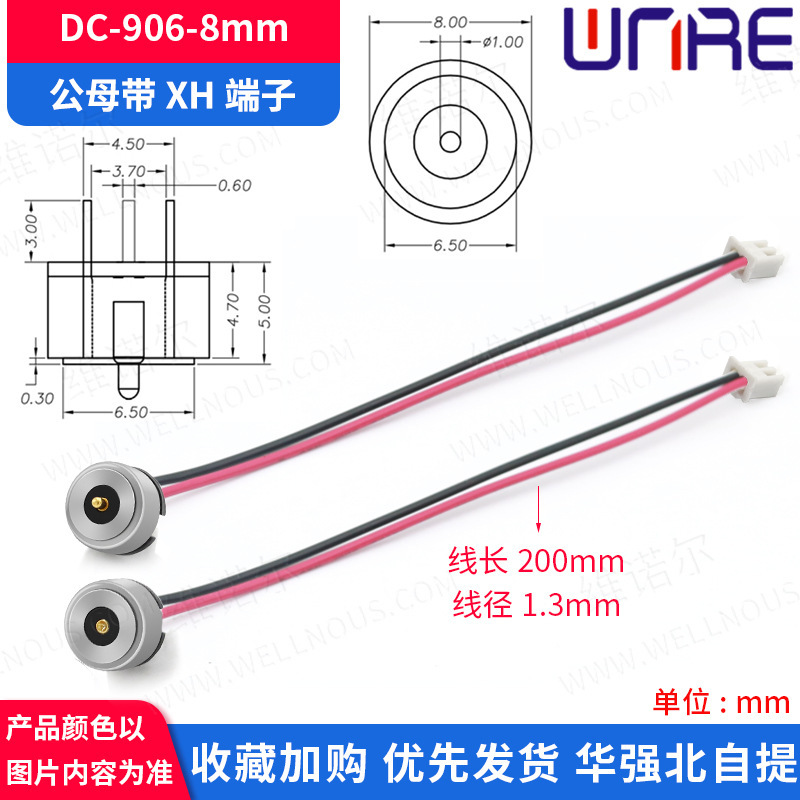 Magnetic charger Magnetic recharging male-magnetic connector for capped-up lamp thermal fittings