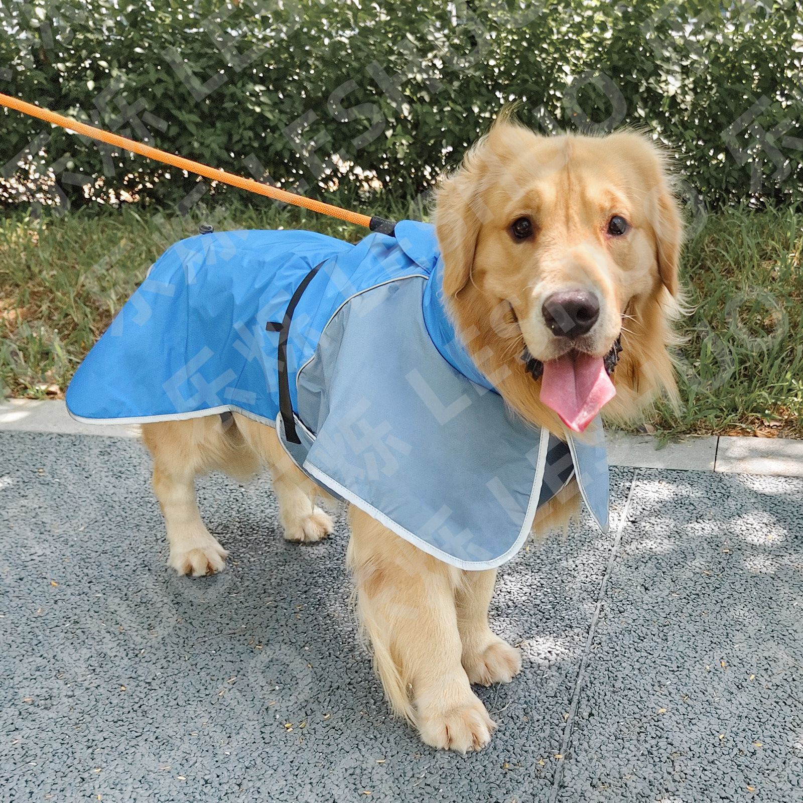 宠物衣服冲锋衣秋冬防水狗狗雨衣可牵引反光宠物保暖棉衣大狗服装