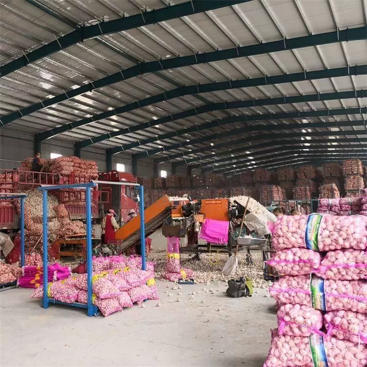 Công ty TNHH Thực phẩm cao cấp Sơn Đông