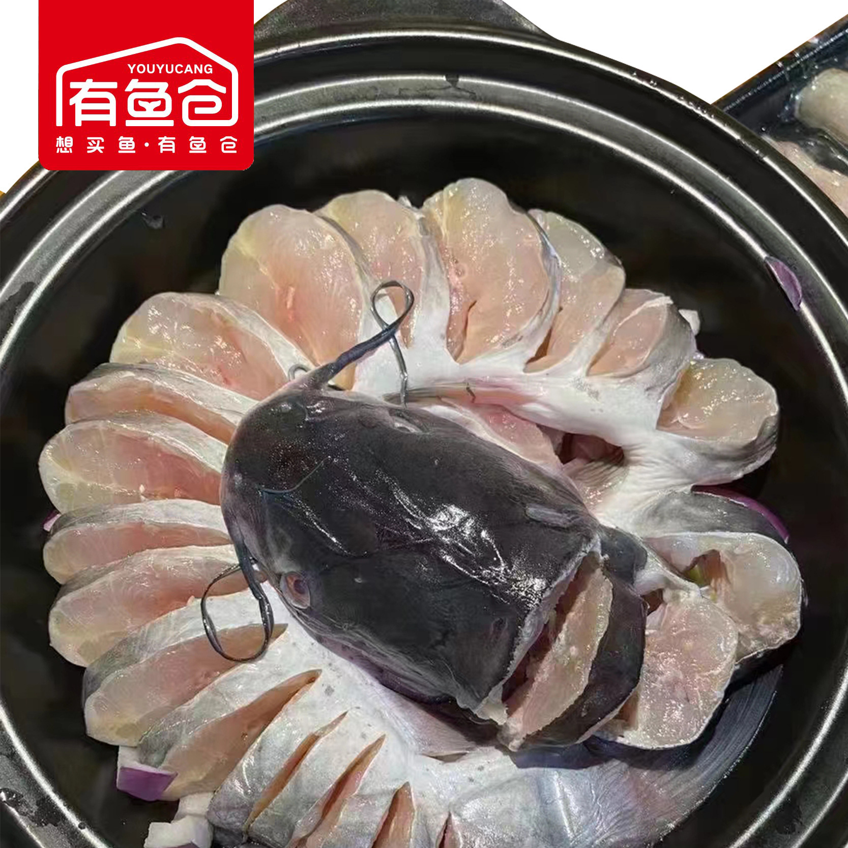 有鱼仓盘龙清江鱼腌制速冻冷冻花刀红烧鮰鱼酒店半成品食材巢三珍