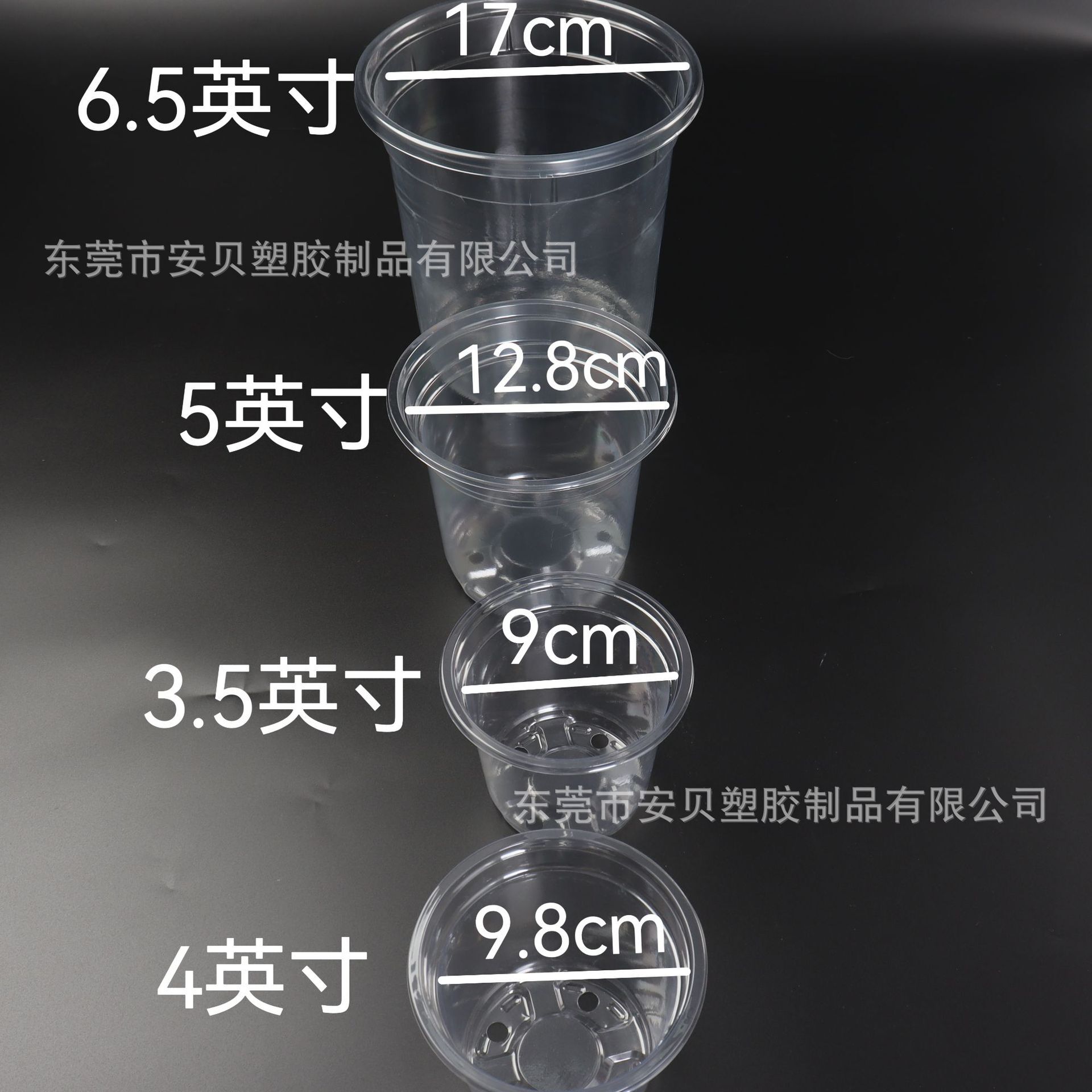 Sự nuôi dưỡng của một chậu hoa sinh-con lai cứng-con lai