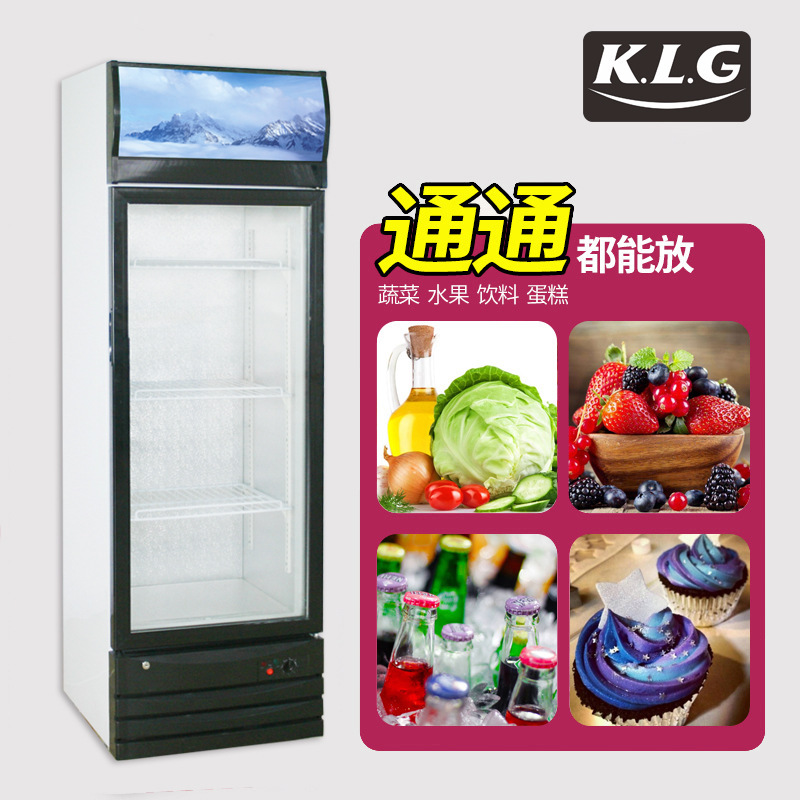 Showcase cold display cabinets, stand-up display cabinets, beer cabinets, beverage cabinets, display cabinets 228-358L