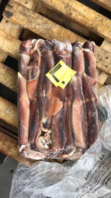 mực X-quang, mực ống đông lạnh nguyên liệu 300/600 g nguyên liệu nguyên chất
