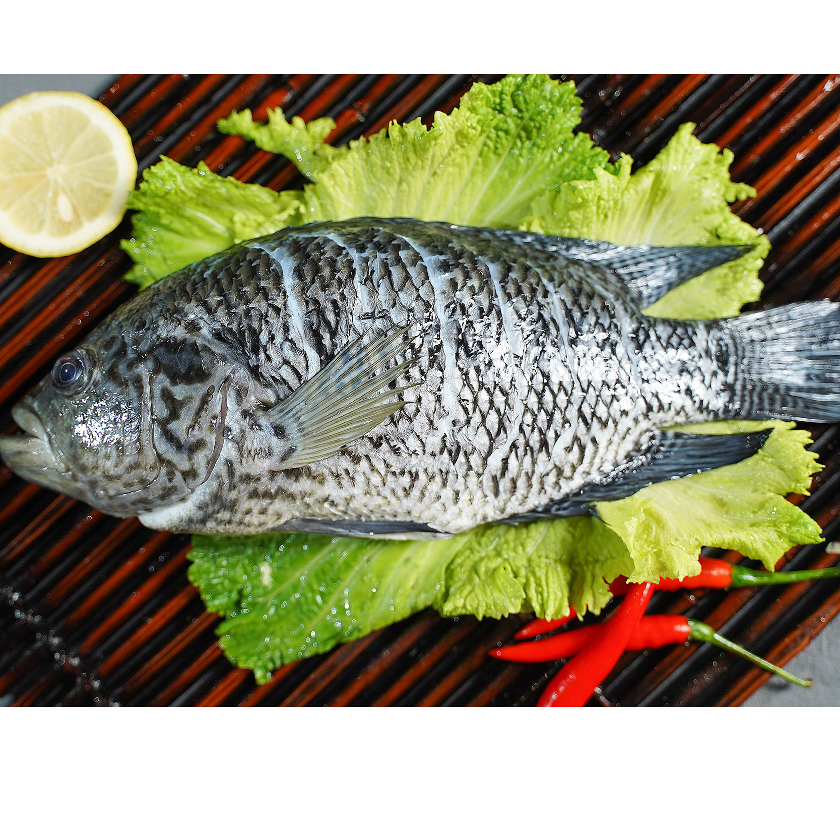 Có một đống rơm cá, một cái máy cắt băng, một con cá hải sản bán kết tại khách sạn Steam Slate.