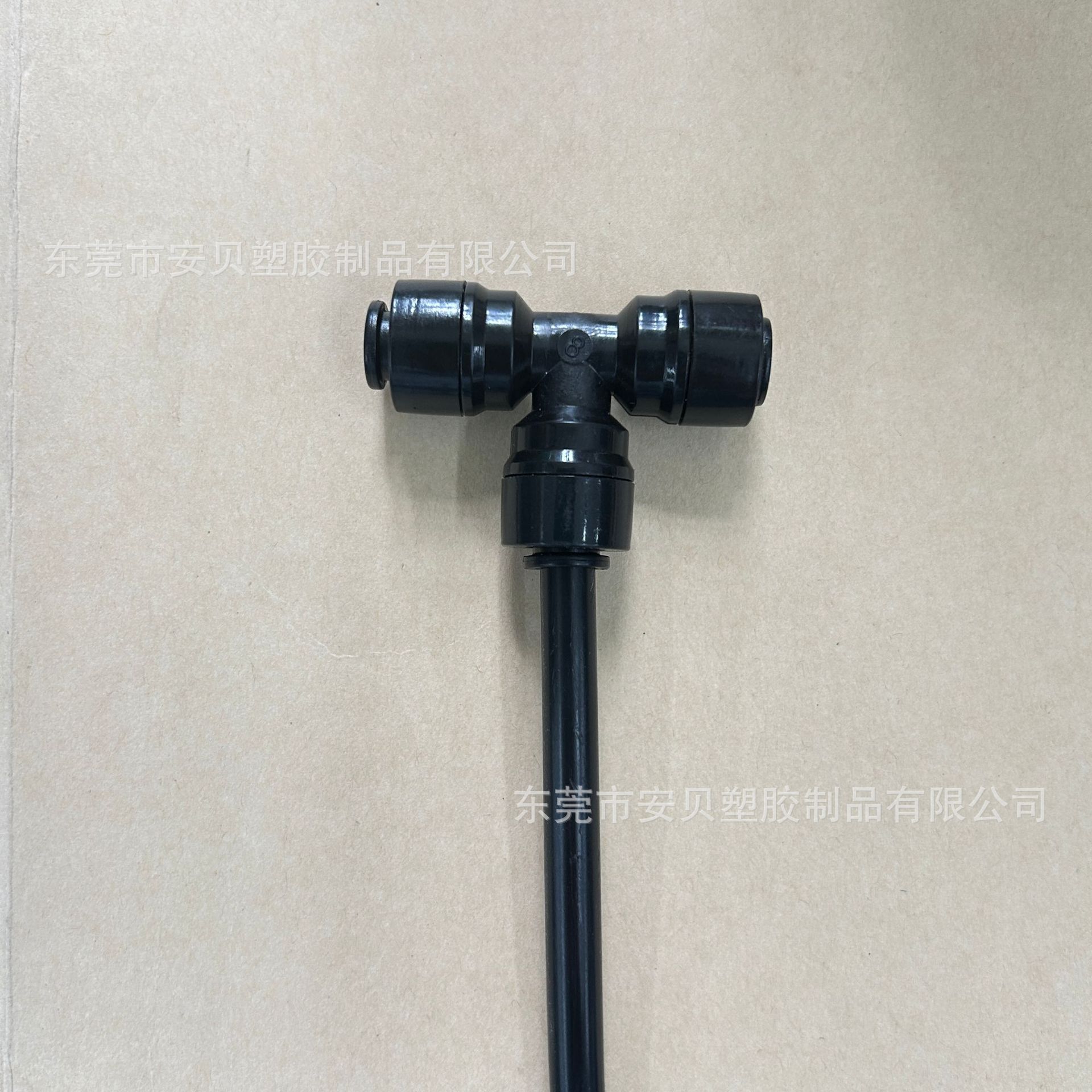 Hàng loạt sương mù Amazon bên ngoài sân.