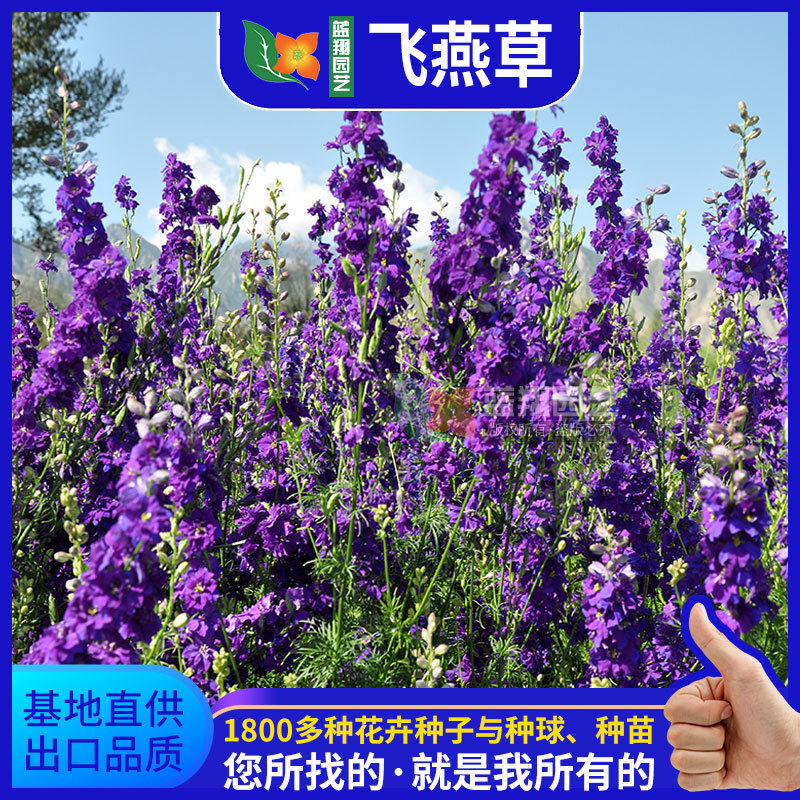 Toàn bộ các chỗ sụp đổ, các chỗ sụp đổ, các nhánh cây và cành cây.