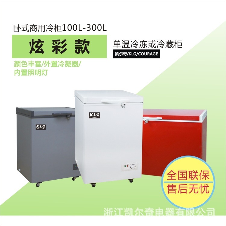 冷櫃Chest Freezer 100L-300L/CB/CE/冰櫃 爆款