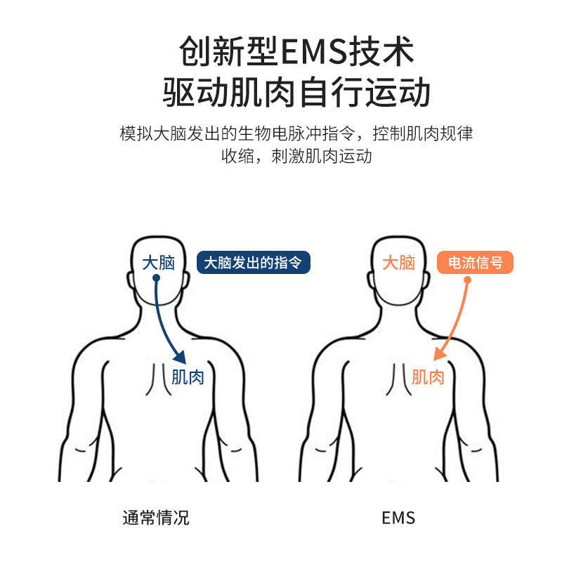 Cross-border spot abdominal abdominal abdominal abdominal abdominal abdominal abdominal abdominal abdomen training for EMS smart mass reduction.