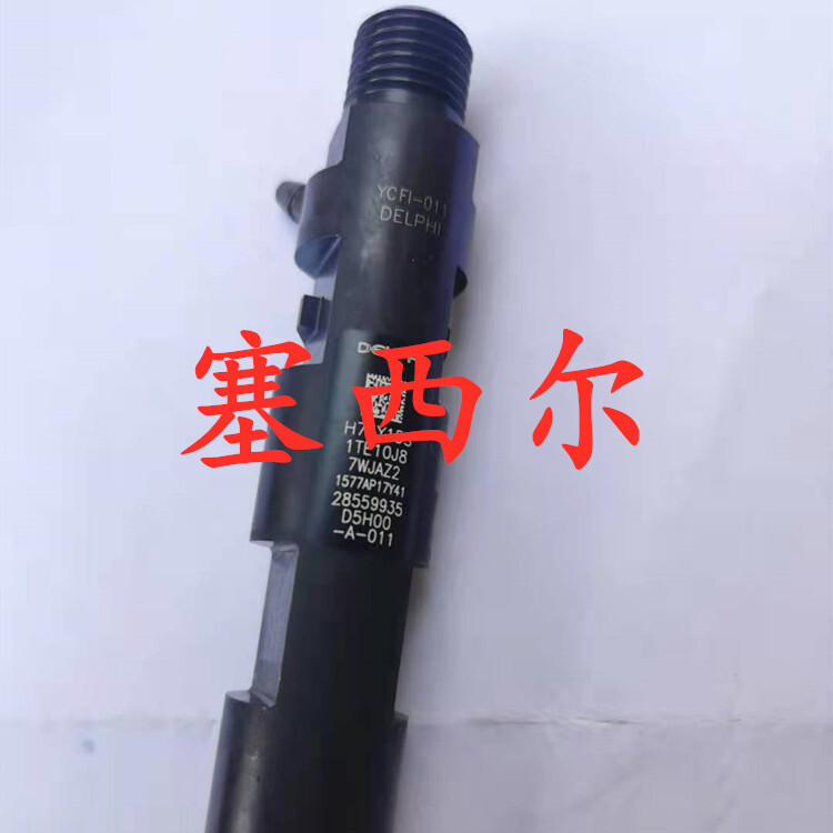 适用于工程机械发动机喷油器28559935  D5H00-A-011