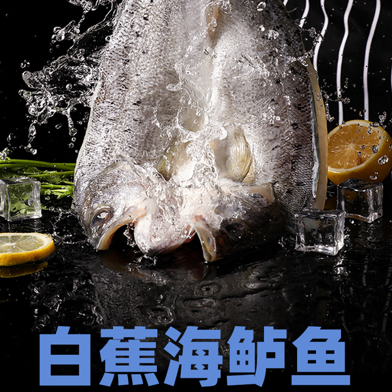 물고기는 바다베이스, 신선한, 냉동, 7 성급 피자, 상업 해산물을 켜는 흰색 guacamole로 이동합니다.